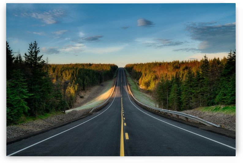 Passing Through by Michel Soucy