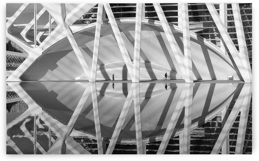 Shadows and Reflections by Keith Truman