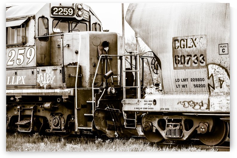 On the Tracks by Michel Soucy