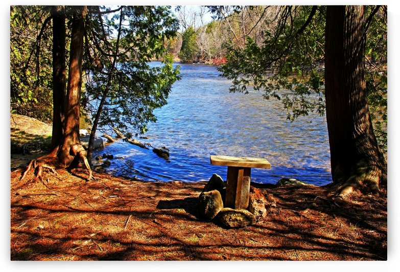 Have A Rest Enjoy The View by Deb Oppermann