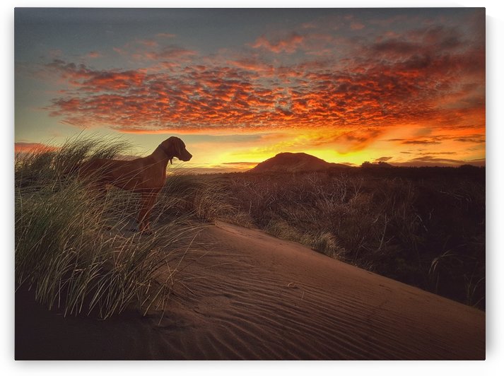 Dawn of the Renaissance. by Nor Budzinski