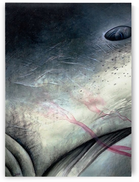 Shark 3 by Wag