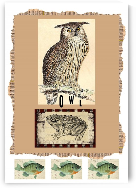Owl  by DONNA REIBSLAGER