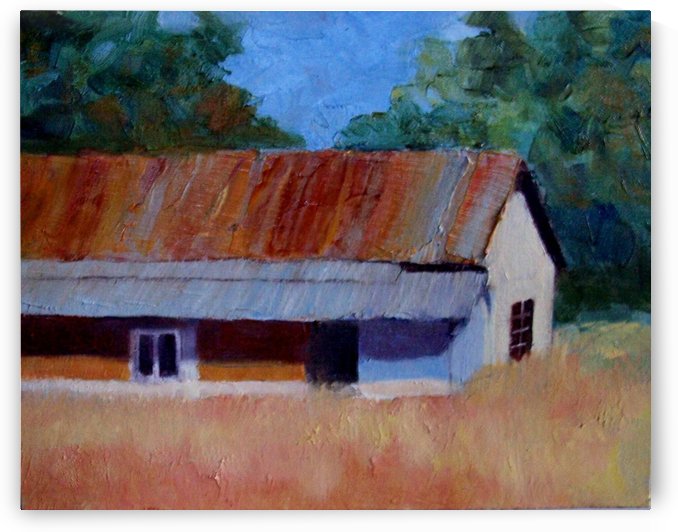 Old Shed by DONNA REIBSLAGER