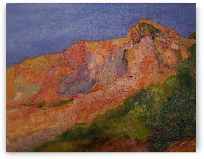 Red Cliffs by DONNA REIBSLAGER