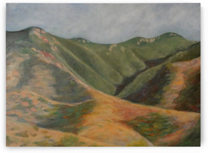 Ridge View by DONNA REIBSLAGER