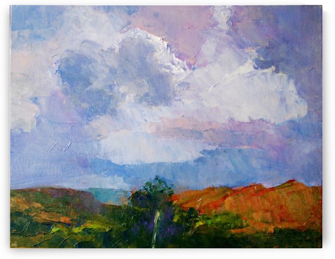 View from the Lake Road by DONNA REIBSLAGER