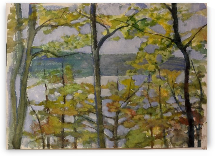 View of the Lake by DONNA REIBSLAGER