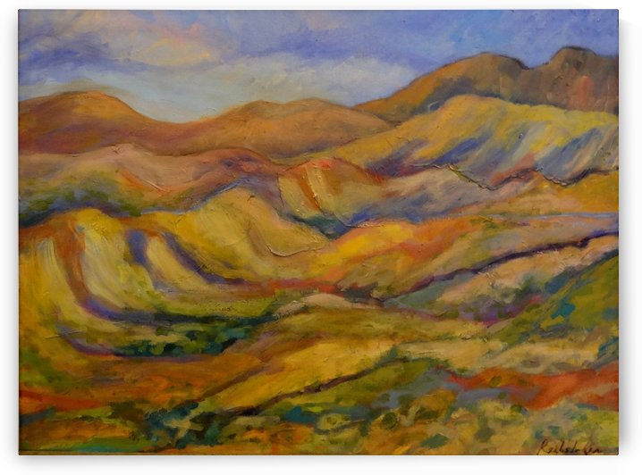 Patagonia Mountains by DONNA REIBSLAGER