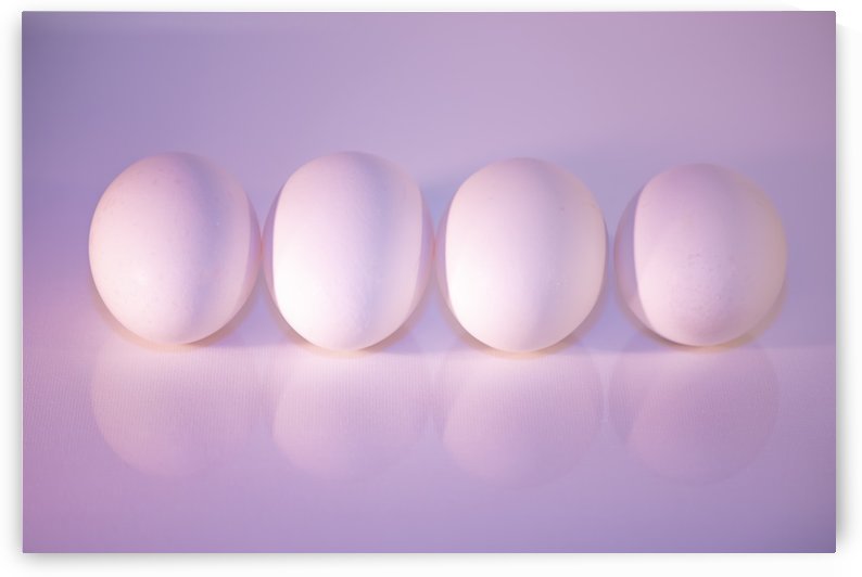 The Art of Eggs by crystalfind