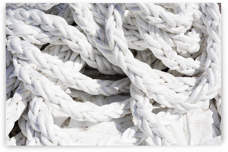 White Harbor Ropes by Maria Virginia Castro
