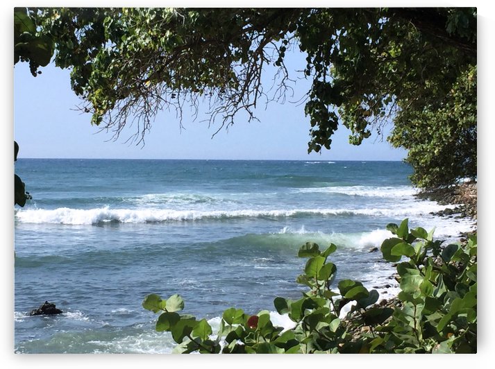 Caribbean Sea by Maria Virginia Castro