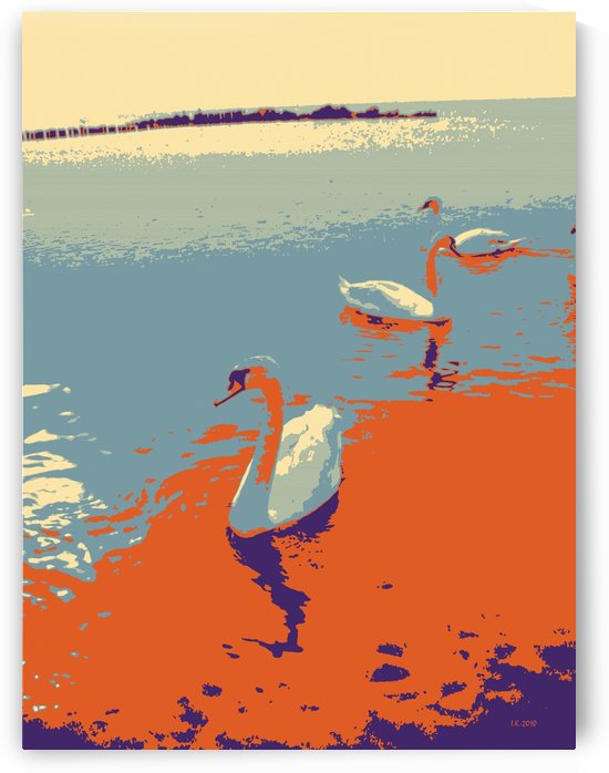 Swans by Ivan Kolisnyk