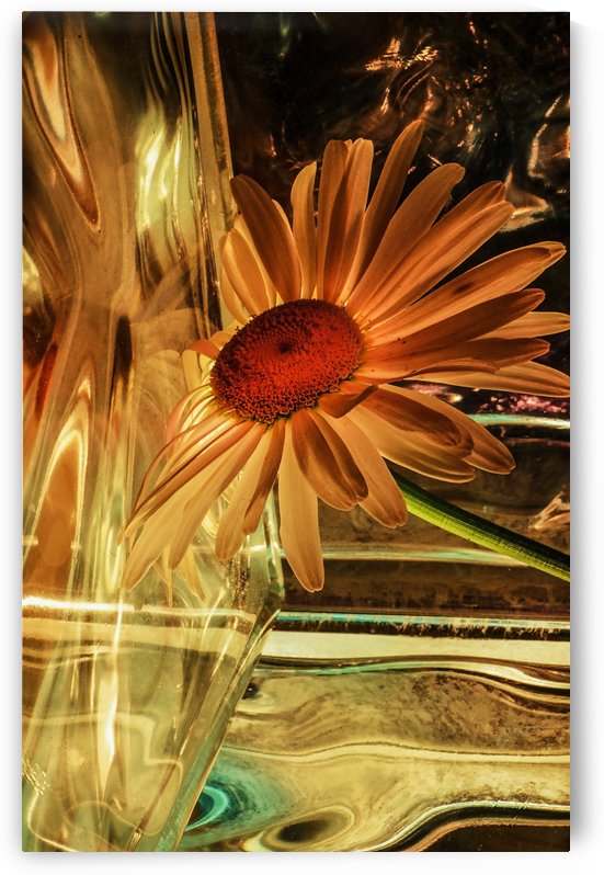 flower with glass  by Margaret Najder 
