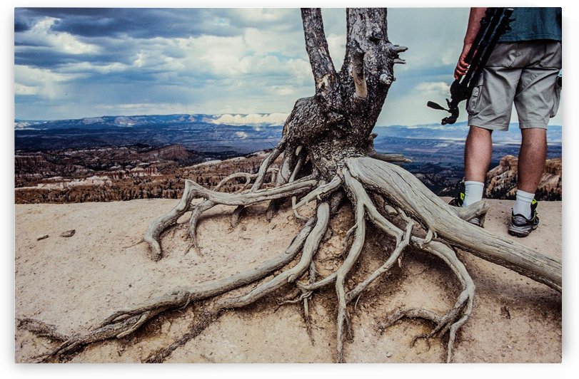 grand canion 2  by Margaret Najder 