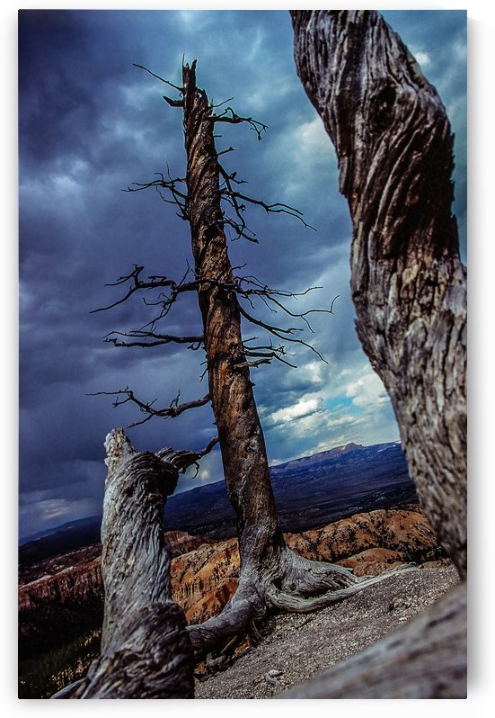 grand canion 3  by Margaret Najder 