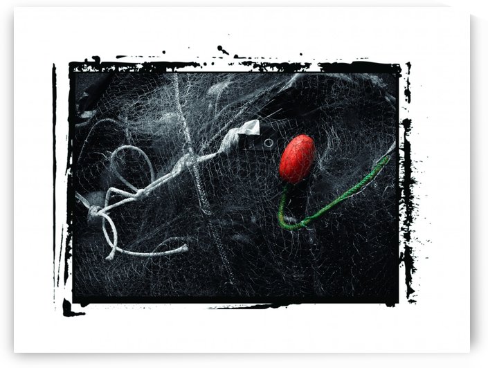 orange ball  by Margaret Najder 