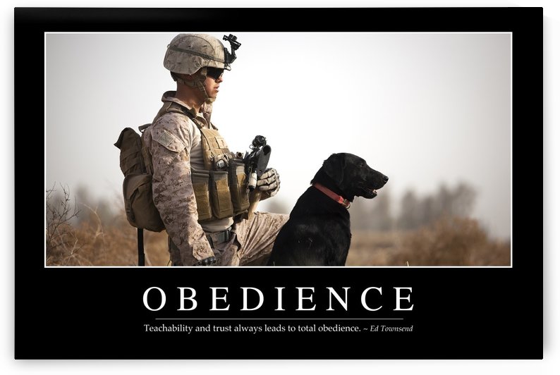 Obedience: Inspirational Quote and Motivational Poster by StocktrekImages