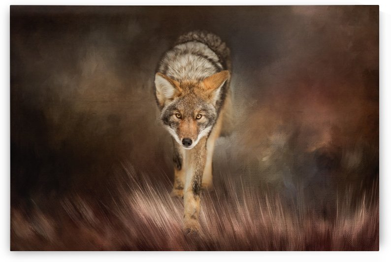 Out of the Shadows by Michel Soucy