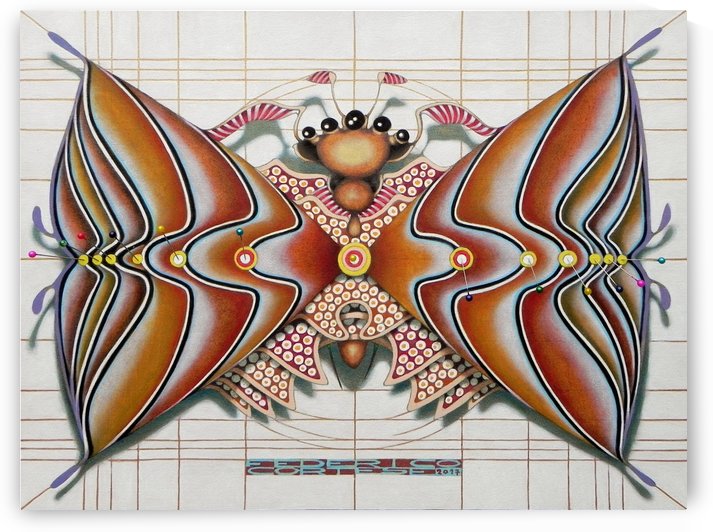 Hourglass butterfly  by federicocortese