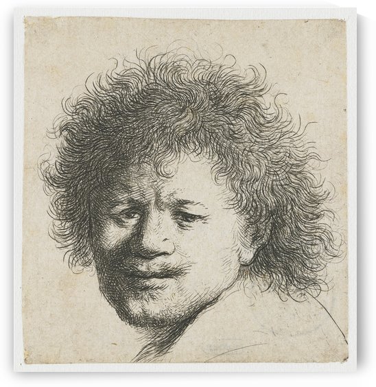Self-portrait with Long Bushy Hair by Rembrandt