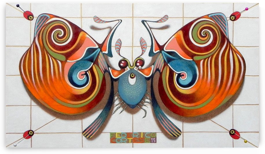 The moth that thought to be a butterfly by federicocortese