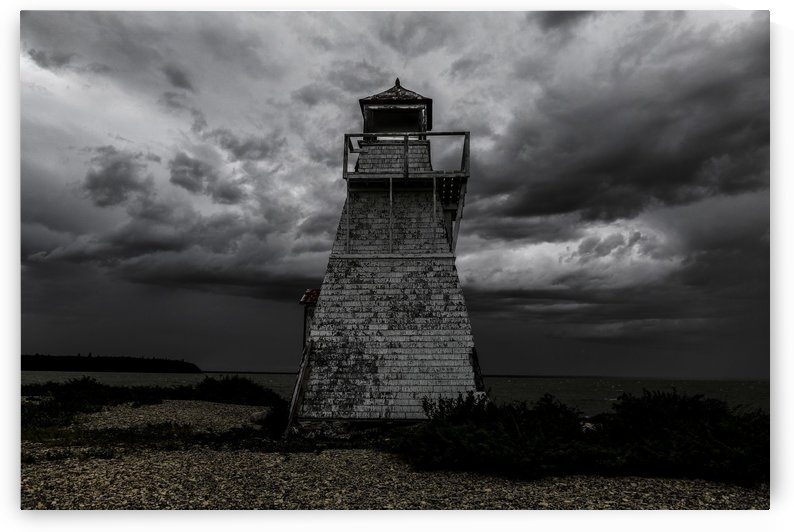 Gull Harbour  by Michael