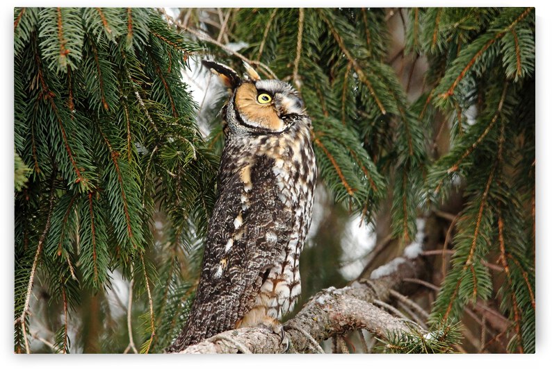 Not A Good Idea by Deb Oppermann