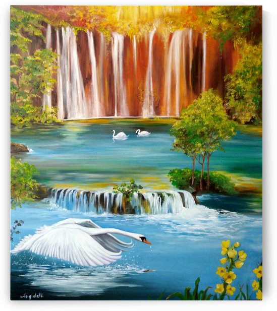 Swan lake by Anna Rita Angiolelli