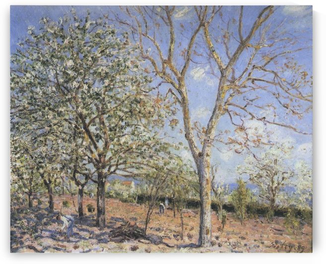 Landscape with Blooming Trees by Alfred Sisley