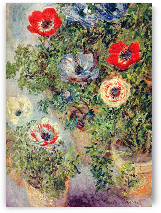 Anemonies by Claude Monet