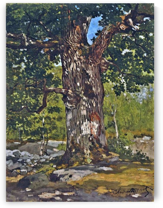 The Bodmer Oak by Claude Monet