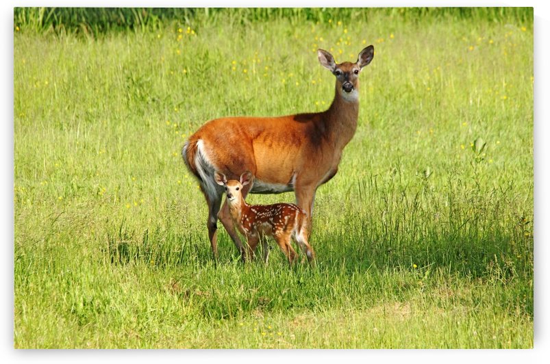 Stand By Me by Deb Oppermann