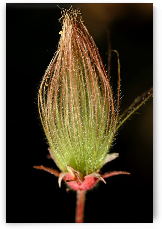 Smokin by Deb Oppermann