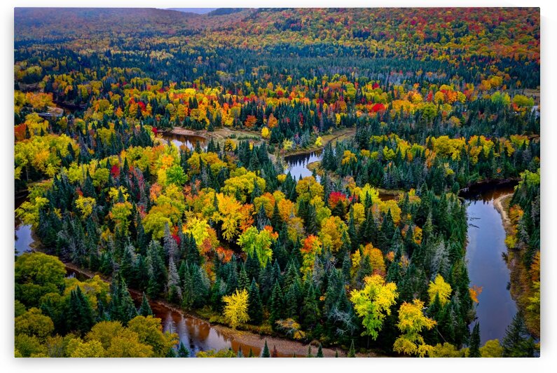Tremblant by Fabien Dormoy