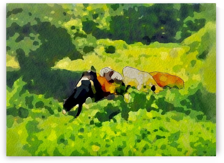 Cummington Cows by Harry Forsdick