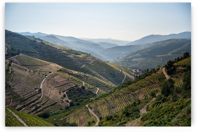 Douro by Fabien Dormoy