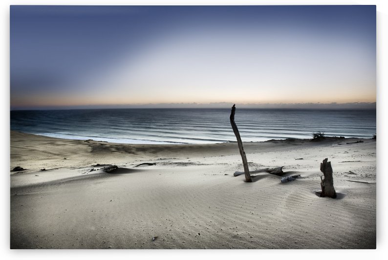 Reach for the sun by 1x