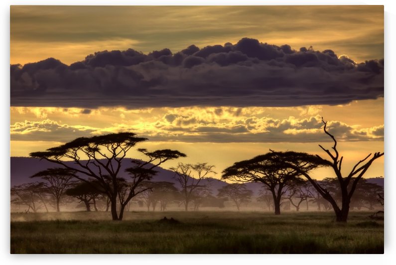 Good evening tanazania by 1x