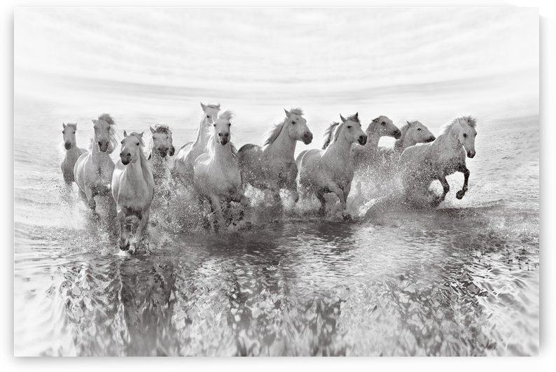 Illusion of power (13 horse power though) by 1x