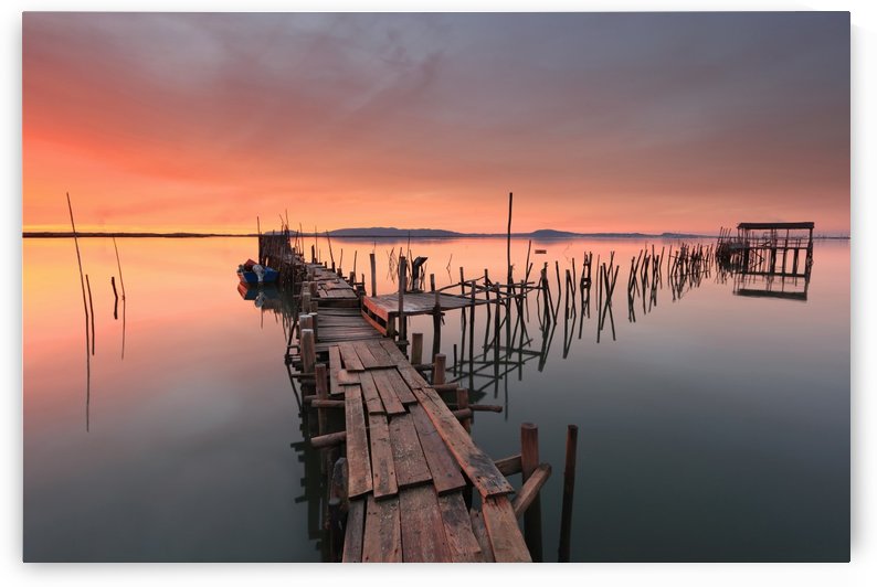 The last... Light by 1x