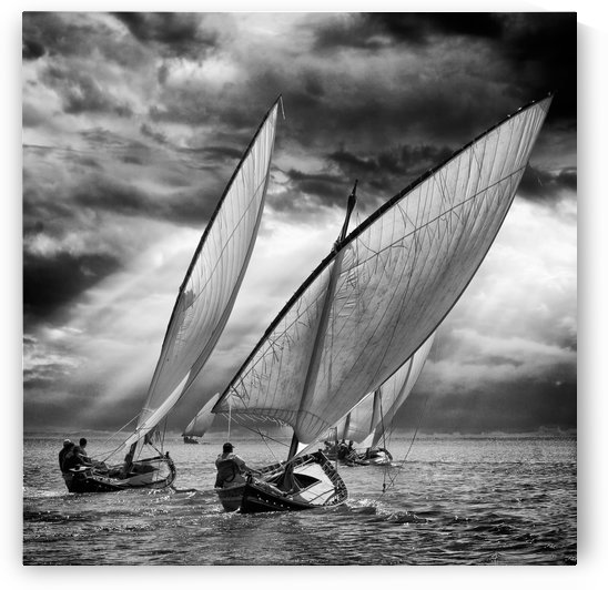 Sailboats and Light by 1x