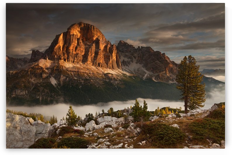 Tofana de Rozes by 1x