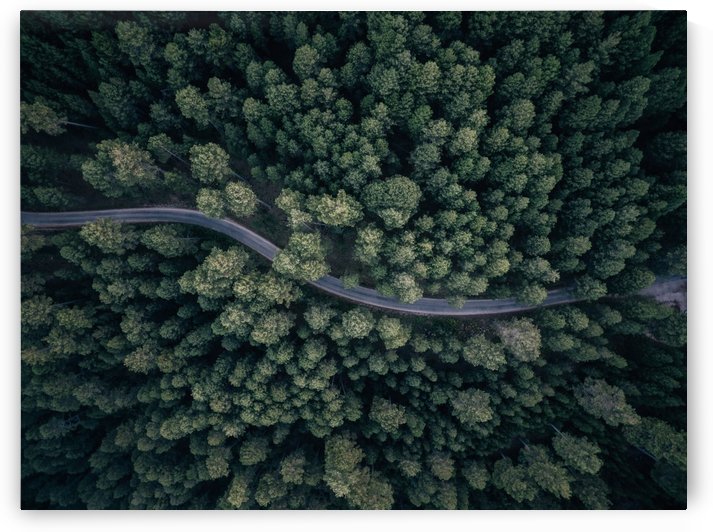 From above by 1x