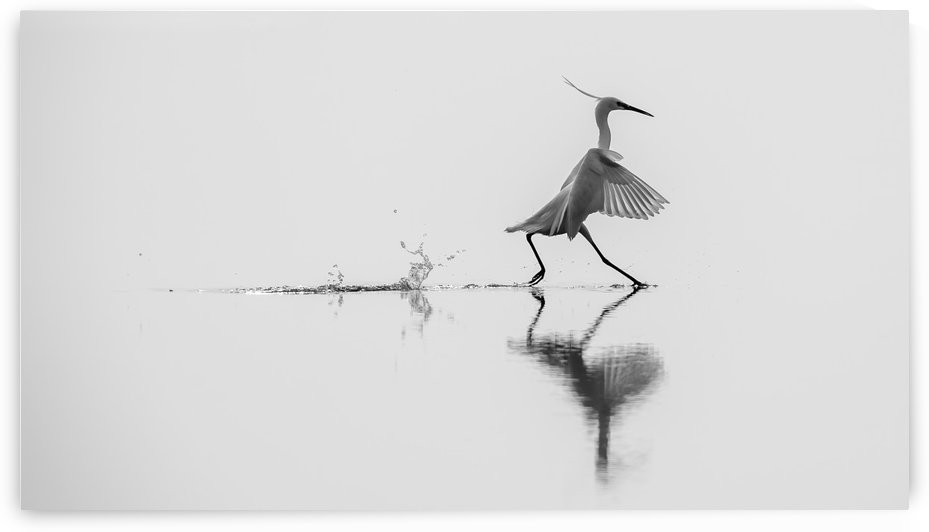 Dancing on the water by 1x