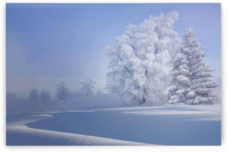 crispy morning by 1x