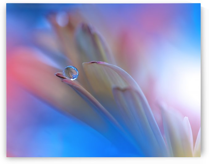 Touch Me Softly... by 1x