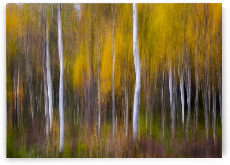 Abstract Fall by 1x