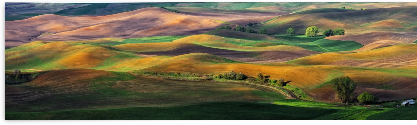 The Palouse by 1x