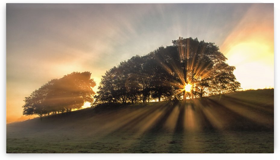 The small deer. by 1x